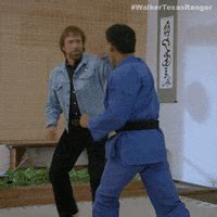 Chuck Norris Roundhouse Gif