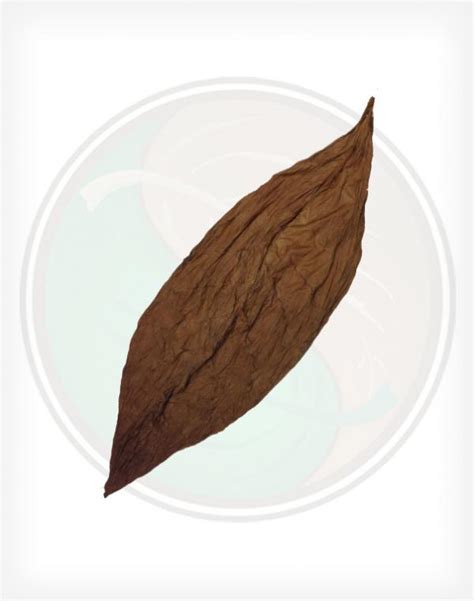 Ecuadorian Shade Wrapper - Tobacco Leaves From Ecuador, Shade Grown Cigar Wrappers