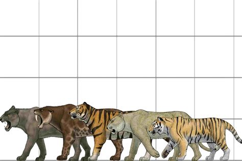 Smilodon or Saber-Toothed Cat Trivia