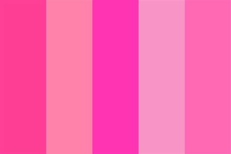 The Pink Palette Color Palette