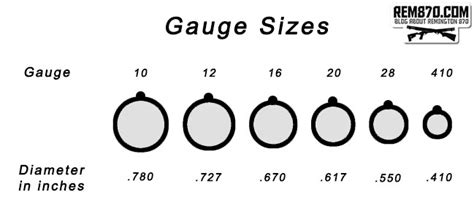 Types Of Shotgun Shells Chart