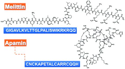 Chemical structure and amino acids sequence of bioactive peptides from... | Download Scientific ...