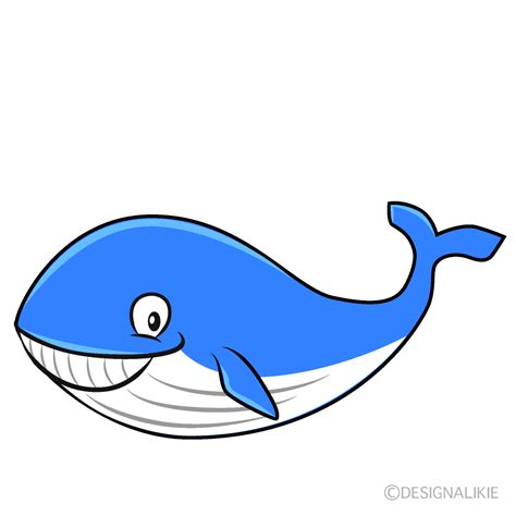 Cartoon Whale