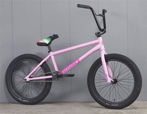 13 Best BMX Bikes (Brands) for Racers, Tricksters, and Flyers