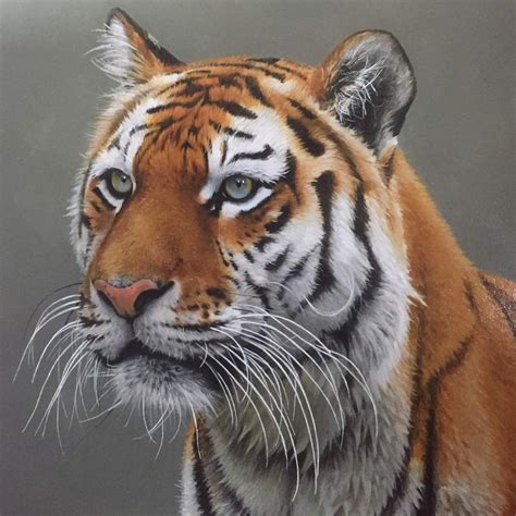 Tiger. Acrylic on canvas. | Art Amino