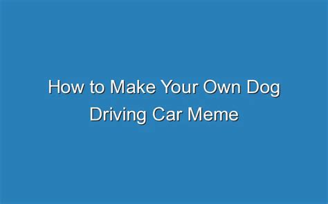 How To Make Your Own Dog Driving Car Meme - Updated Ideas