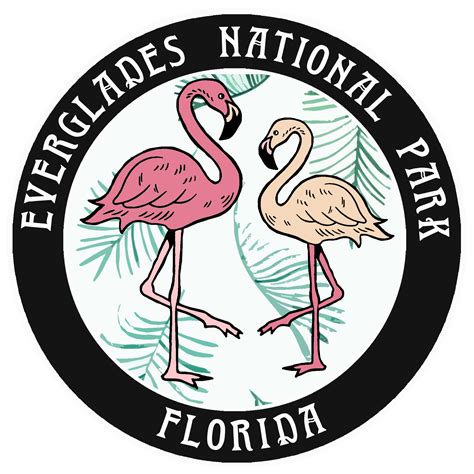 Flamingos Everglades National Park Florida Car Truck Window Bumper Sticker Decal | eBay