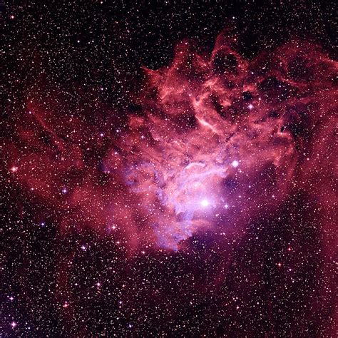 Flaming Star Nebula Photograph by Celestial Image Co.