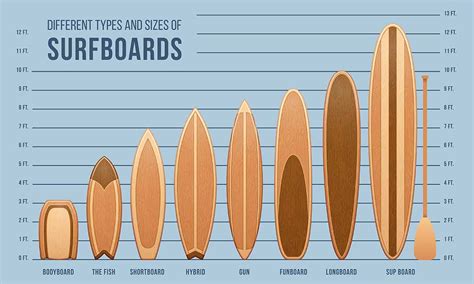 What Are The Different Shapes of Surfboards • The Grom Life