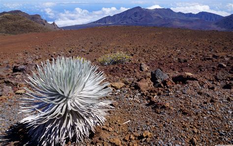 Haleakalā National Park Wallpapers - Wallpaper Cave