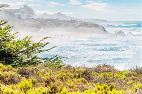 Cambria: Adventure & Relaxation on the Central Coast - Visit Cambria | CA