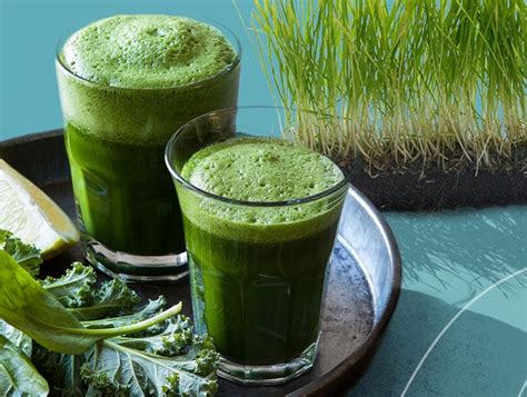 Wheatgrass Juice Recipe | Dandk Organizer