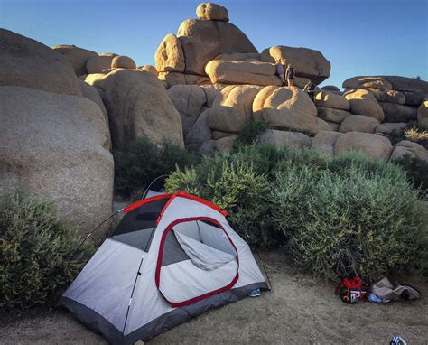 Your Ultimate 2021 Guide to Camping in Joshua Tree National Park — Spearhead Adventure Research