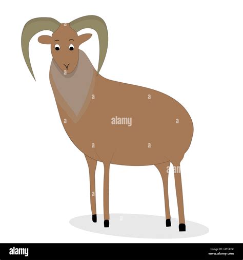 Urial sheep hi-res stock photography and images - Alamy