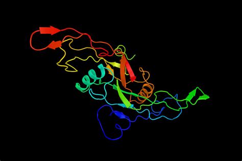 Novel Drug Combination Advances Beta Cell Regeneration in Diabetes