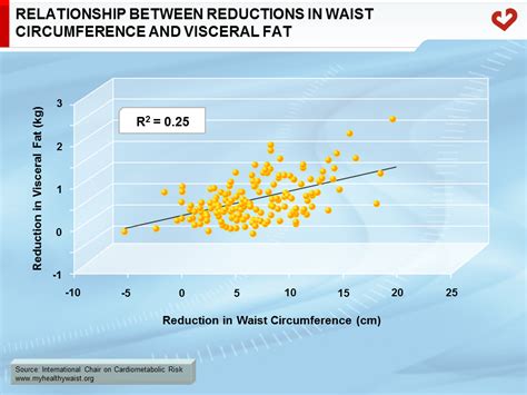 Waist Circumference - My Healthy Waist