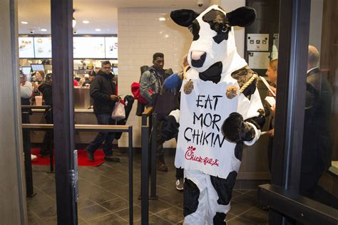 Chick Fil A Cow Mascot Costume