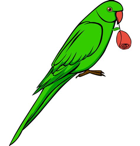 Free Green Parrot Cliparts, Download Free Green Parrot Cliparts png images, Free ClipArts on ...