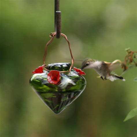 Hummingbird feeders - auroralader