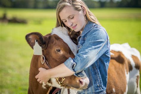 This California Farm Is Offering ‘Cow Hugging’ Therapy Sessions | iHeart