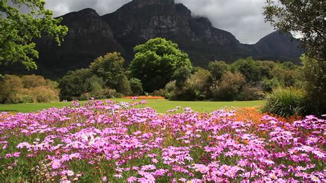 Kirstenbosch Botanical Gardens - Cape Town, South Africa