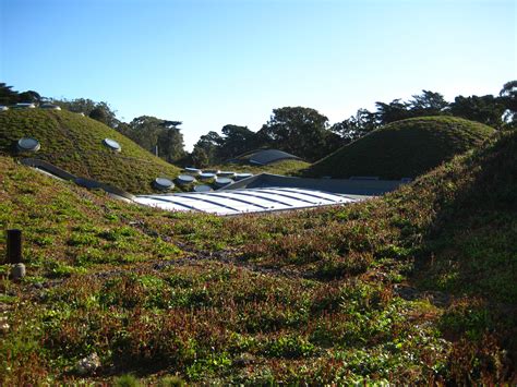 File:Living Roof.JPG - Wikimedia Commons