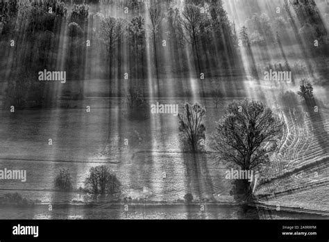 Sunrise over the misty forest Stock Photo - Alamy