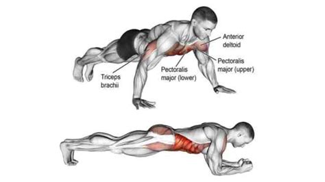 Plank to Push Up To Build Stronger Core and Abs