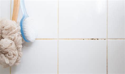 How to Get Rid of Mould and Mildew in Your Bathroom | RAC WA