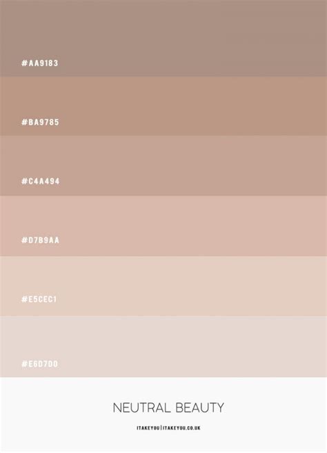 Neutral Color Scheme | Soft nude colour combo | Soft Earth Tone Color