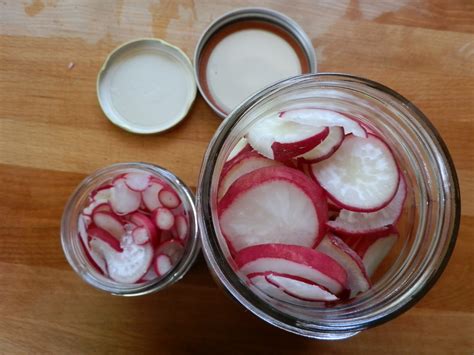 Our Bit of Dirt: Harvesting & Storing Radishes