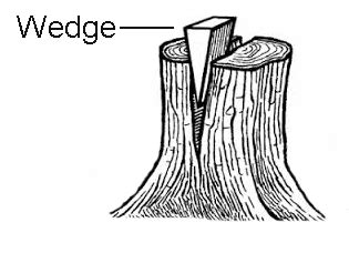 Mechanical Technology: Wedge