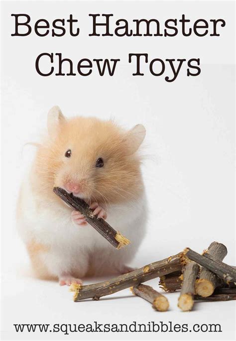 Best Hamster Chew Toys - Sticks, Blocks And Much, Much More!