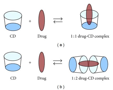 1 : 1 and 1 : 2 drug cyclodextrin complexes [47]. | Download Scientific Diagram