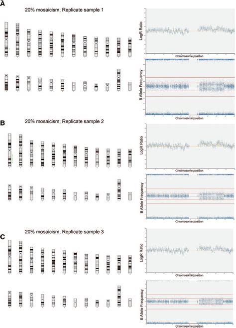 SNP array analysis of samples containing 20% variant cells harboring a... | Download Scientific ...