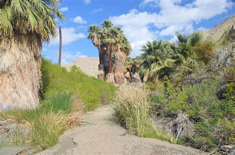 Hiking Along the San Andreas Fault in Southern California - Travel Dudes