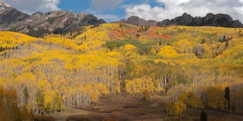 11 Colorful Autumn Drives in Colorado | Top Places to See Fall Foliage