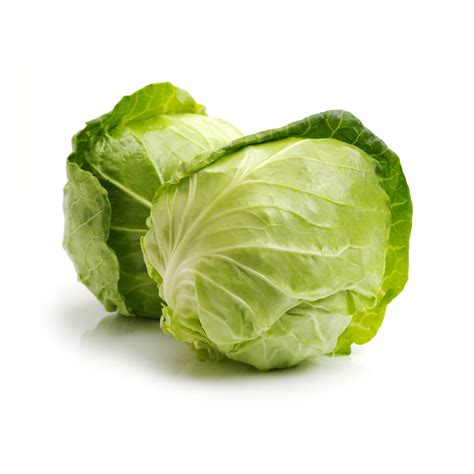 Green Cabbage – LuckyTaro – Wholesales Produce in Los Angeles