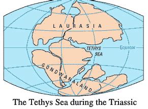 Palaeos Earth : Paleogeography : The Tethys Sea