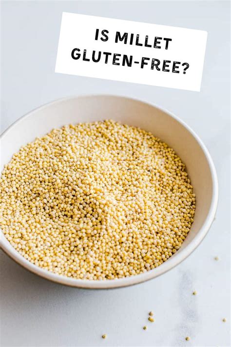 Is Millet Gluten-Free? – Salted Plains