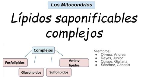 Lípidos Saponificables Complejos | Génesis Jemima Sánchez Yahuana | uDocz