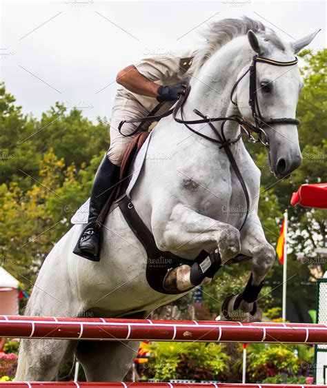 Horse jumping competition | High-Quality Sports Stock Photos ~ Creative Market