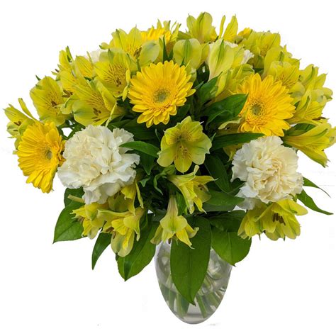 Send Mellow Yellow for UK flower delivery from Clare Florist.