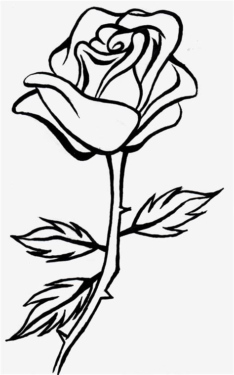 Rose Outline Drawing | Free download on ClipArtMag