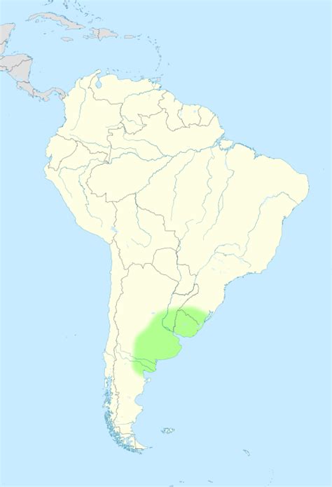 Pampas - Wikipedia