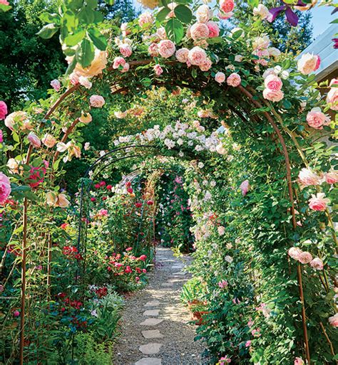 Create a Beautiful Rose Garden | Garden Gate