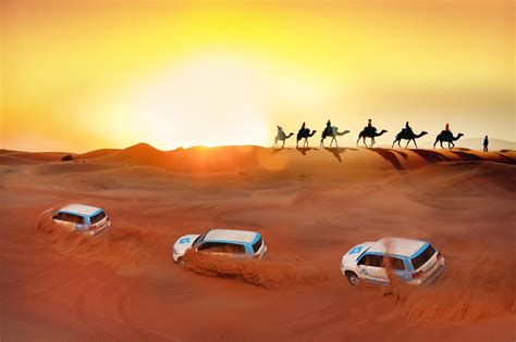 Dubai City Tour Including Dubai Desert Safari