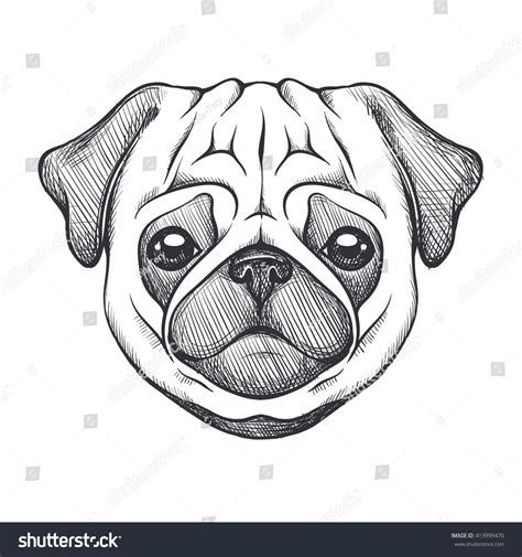 a pug dog's face drawn in black and white