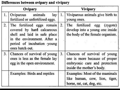 List the difference between Oviparous animals and viviparous animals in points - Science ...