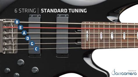 číselná medziľudský dohadzovač how to tune a 5 string bass extra stout nevera